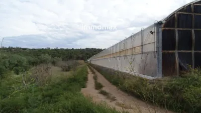 Rustic farm in El Pinell de Brai photo 19