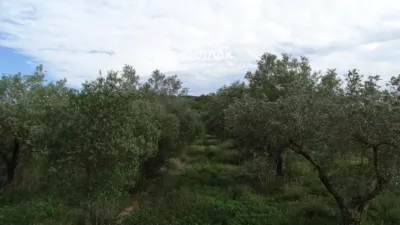 Rustic farm in El Pinell de Brai photo 21