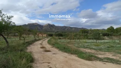 Rustic farm in El Pinell de Brai photo 23