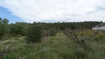 Rustic farm in El Pinell de Brai photo 28