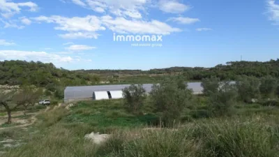 Rustic farm in El Pinell de Brai photo 5