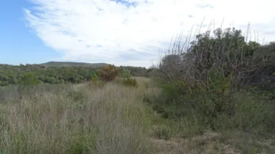 Rustic farm in El Pinell de Brai photo 2
