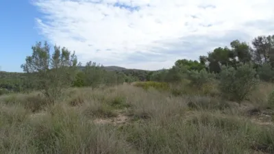 Rustic farm in El Pinell de Brai photo 3