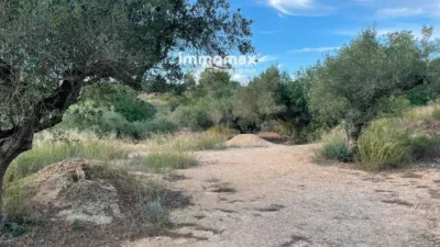 Rustic finca in Bitem photo 11
