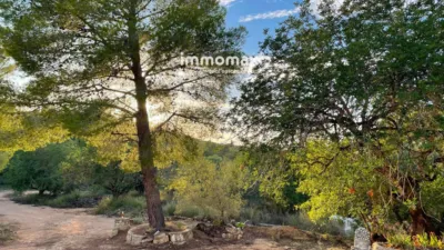 Rustic finca in Bitem photo 19
