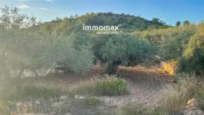 Rustic finca in Bitem photo 20
