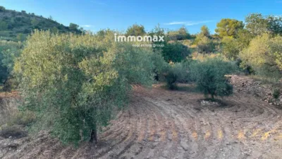 Rustic finca in Bitem photo 21