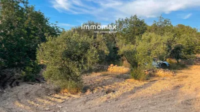 Rustic finca in Bitem photo 24