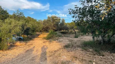 Rustic finca in Bitem photo 25