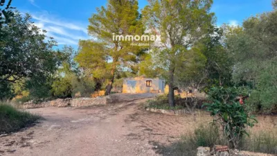 Rustic finca in Bitem photo 26