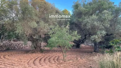 Rustic finca in Bitem photo 27