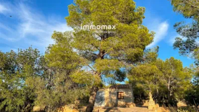 Rustic finca in Bitem photo 2