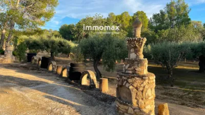 Rustic finca in Bitem photo 6