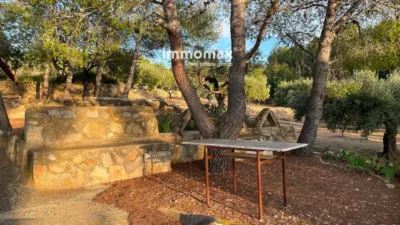 Rustic finca in Bitem photo 8