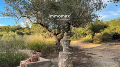 Rustic finca in Bitem photo 9
