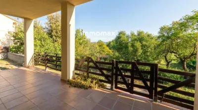 Chalet in La Sagrera photo 2