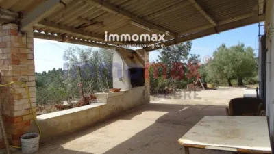Rustic finca in L'Ampolla photo 10