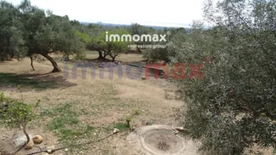 Rustic finca in L'Ampolla photo 13