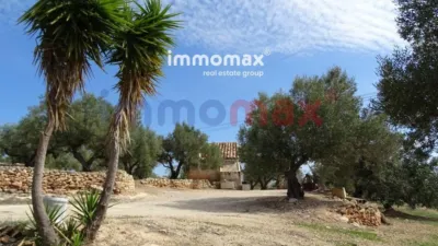 Rustic finca in L'Ampolla photo 16