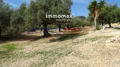 Rustic finca in L'Ampolla photo 17