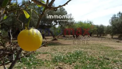 Rustic finca in L'Ampolla photo 18