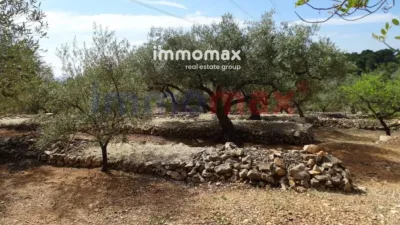 Rustic finca in L'Ampolla photo 23