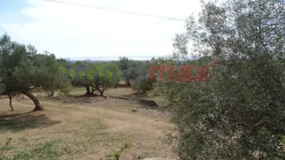 Rustic finca in L'Ampolla photo 24
