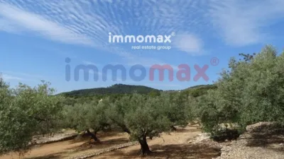 Rustic finca in L'Ampolla photo 26