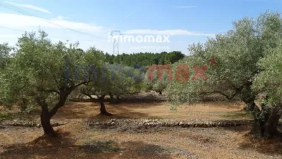 Rustic finca in L'Ampolla photo 27