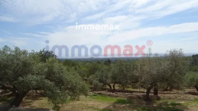 Rustic finca in L'Ampolla photo 28