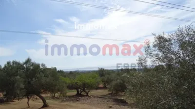 Rustic finca in L'Ampolla photo 2