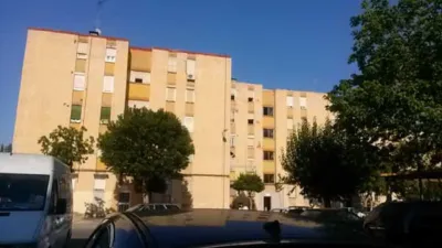 Flat on Calle de Río Mundo photo 6