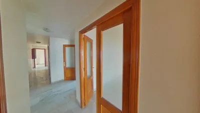 Apartment on Calle del Dorado photo 16