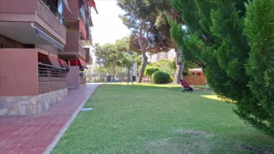 Piso – Alicante, Entreplatges, l'Alacantí - Vista 5