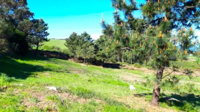 Terreno en venta en Calle Portiño. Polígono - Vista 4