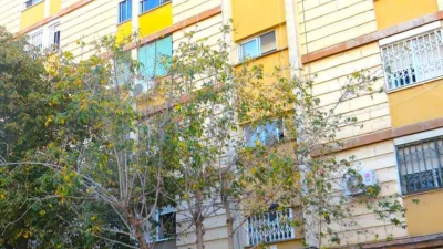 Flat on Calle de la Paz photo 2