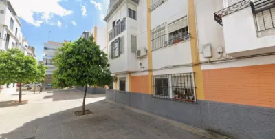 House on Calle Brenes photo 3