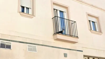 Apartment on Miguel Vargas Jiménez 'Bambino' Street photo 2