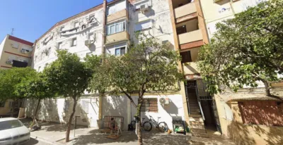 Apartment on Calle Delfín photo 2