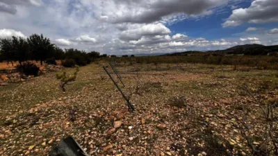 Terreno en venta en Calle Casa de La Gloria, Parcela 141, Poligono 11 - Vista 4
