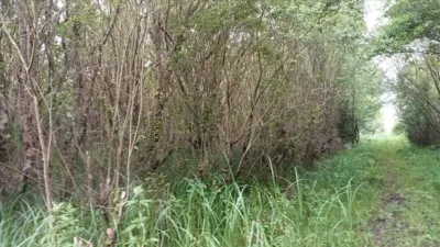 Terreno en venta en Camino de Camposa-Beco - Més