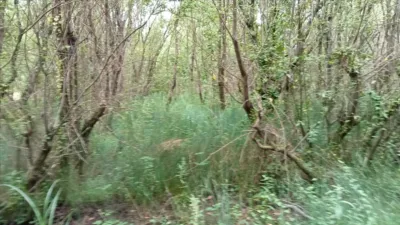 Terreno en venta en Camino de Camposa-Beco - Vista 5