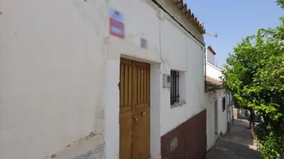 House on Calle de la Diputación Provincial photo 16