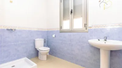 Miniatura 10