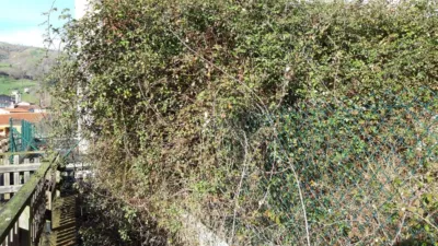 Apartment in Poblado del Bustablado photo 6