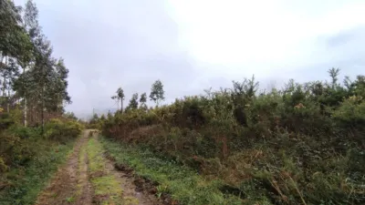 Terreno en venta en Calle 16. Parcela - Vista 3