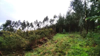 Terreno en venta en Calle 16. Parcela - Vista 5