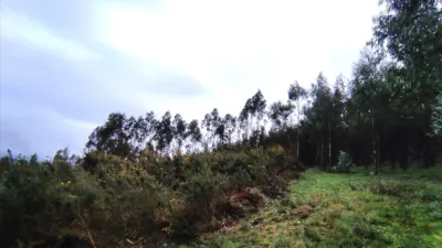 Terreno en venta en Calle 16. Parcela - Más