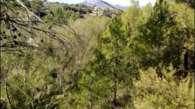 Terreno en venta en Calle Proc. Simplificado - Vista 3