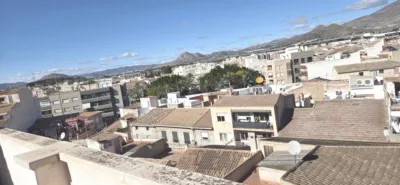 Apartment in Monforte del Cid photo 31